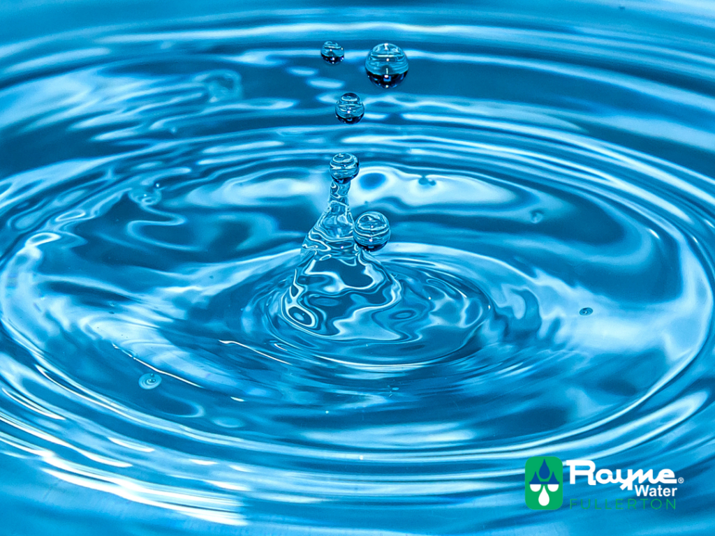 5 types of water you need to know about